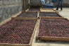 Indonesia Wahana Graha Longberry Washed Arabica Green Coffee Beans (1kg)